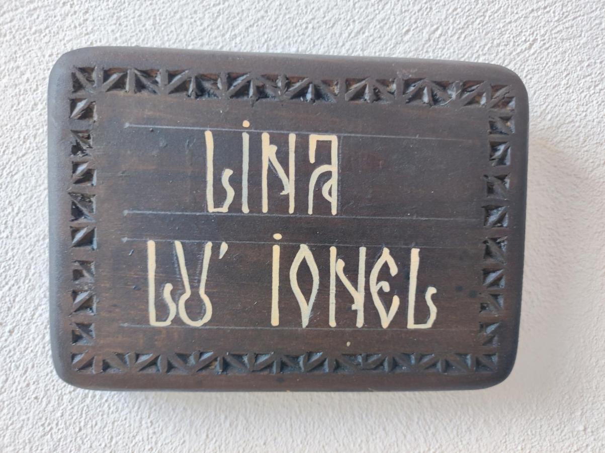 Villa Ograda Bunicilor Baia de Fier Esterno foto